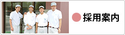 採用案内