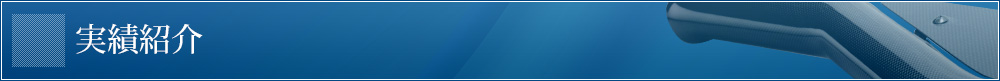 実績紹介